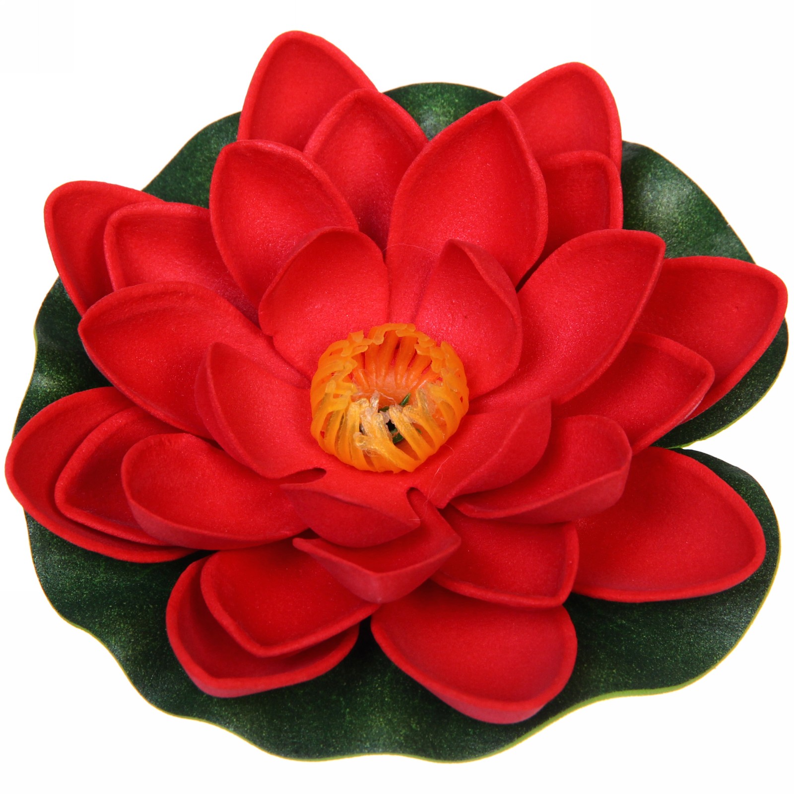 растения пресных водоемов кувшинка белая. кубышка жёлтая строение растения. нимфея лотус. растение водоплавающее "кувшинка р" d-10см красная с подсв. кувшинка высшее или низшее растение.