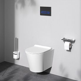 Унитаз подвесной Sunny C85C1701SC Flashclean с сиденьем микролифт