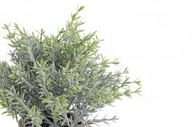 Растение искусственное Home collection в кашпо 10922-5737 h=22см
