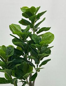 Растение искусственное в горшке Home collection 2025-1706 160см