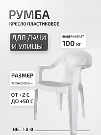 Кресло пластиковое ИжПласт Румба 79х40х39см белый